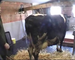 Les bourgmestres à la ferme