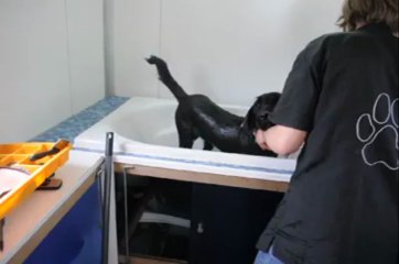 Poumba se fait tondre chez Mupp Mouss sur le parking du Pall