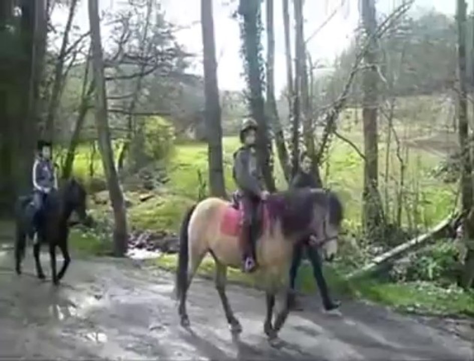 Aywaille: Les élèves de l'école primaire sportive "La Redoute" à leur cours d'équitation