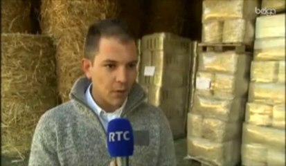 La commercialisation du chanvre devient réalité en Wallonie