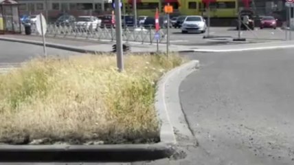 Les mauvaises herbes à Charleroi en vidéo