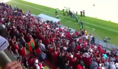 Waasland-Beveren - Mons - Le pubic