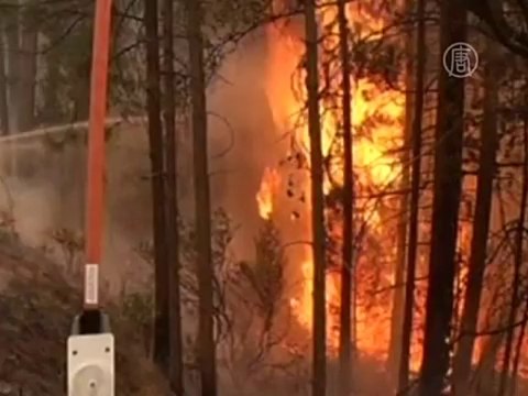 Пентагон просят помочь тушить пожары