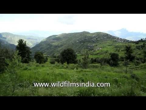 View of Champawat from Aagar village of Kumaon region