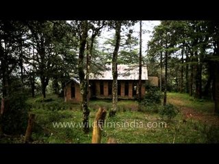 Abbott Mount church, Lohaghat