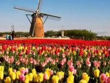 Luxury Holiday Tour Packages for Netherlands from Delhi India