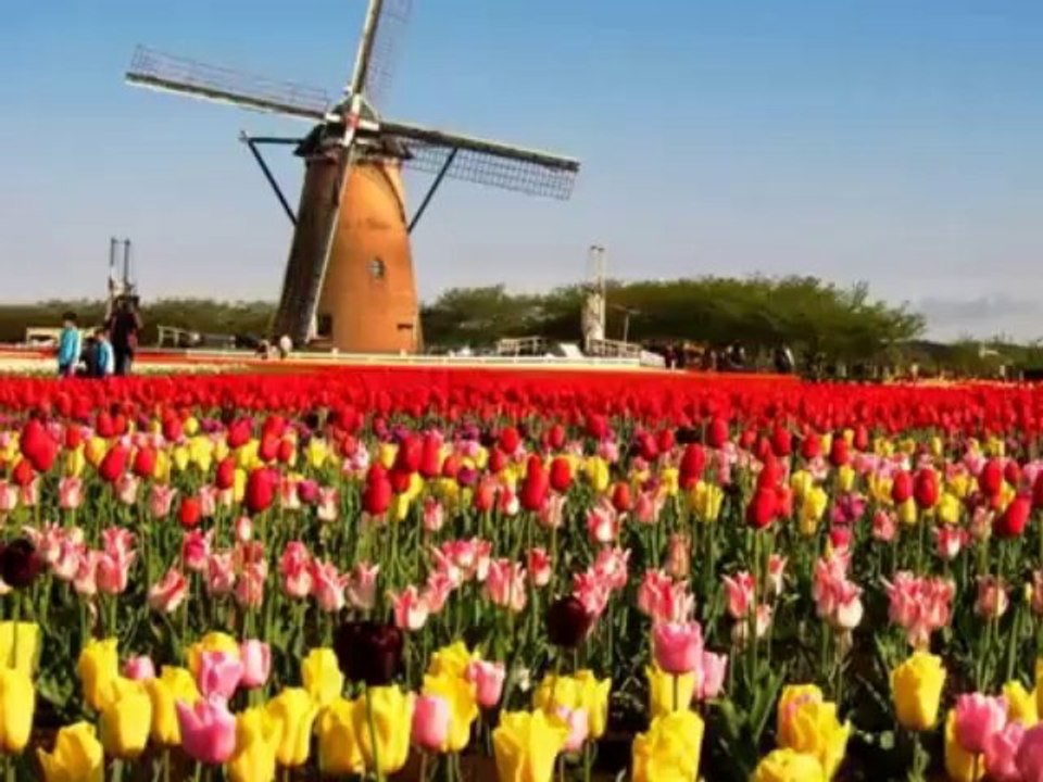 Luxury Holiday Tour Packages for Netherlands from Delhi India