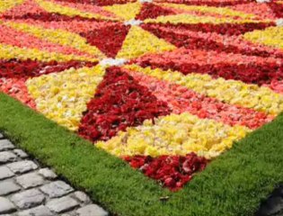 Seneffe - Tapis de Fleurs (DCO)