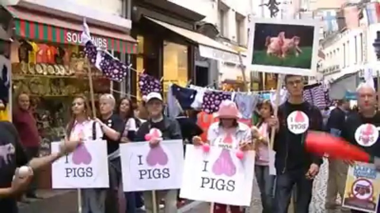 Manifestation GAIA contre la castration des por...