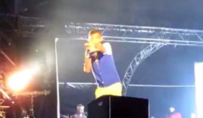 Fête de Wallonie à Liège