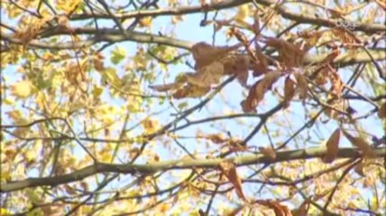 Le mois d'octobre a été ensoleillé, sec et doux