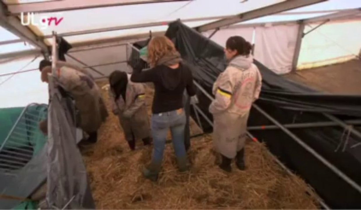 Baptême estudiantin: une part du voile levée à Liège