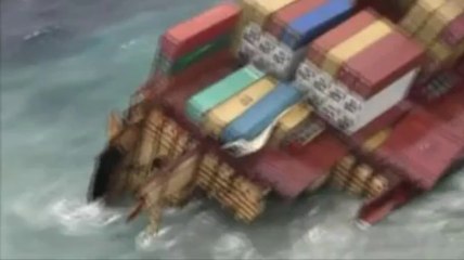 Catastrophe écologique en Nouvelle-Zélande