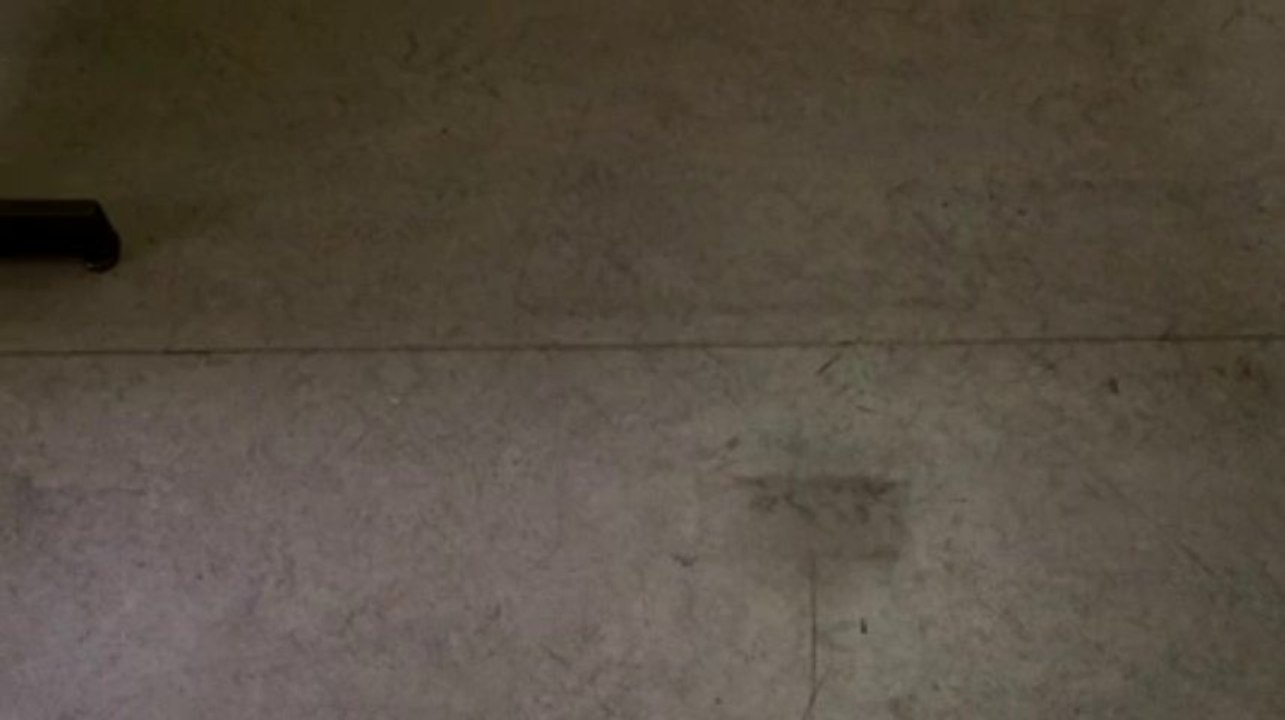 Le catsing de la Ville de Bruxelles pour les musiciens de rue