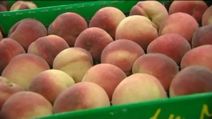 Ain : une tonne de nourriture et un camion des Restos du Cœur volés