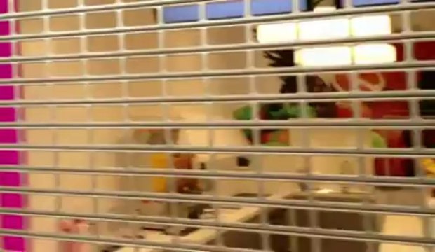 Inauguration du shopping de Nivelles