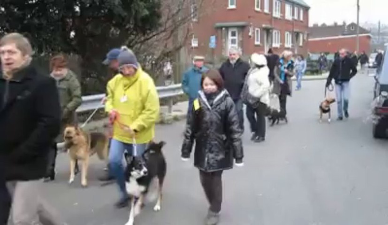 50 personnes et 15 chiens en hommage à Shayna, abattue par la police