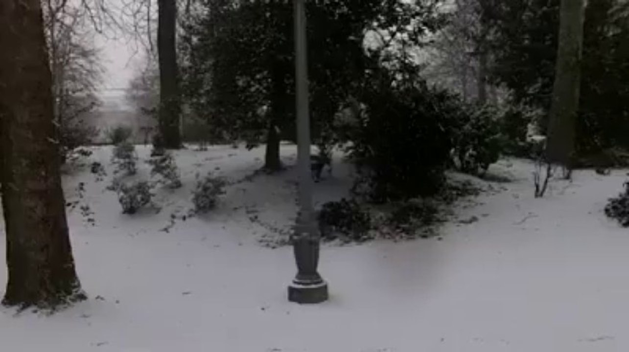 Bruxelles: le parc Royal sous la neige