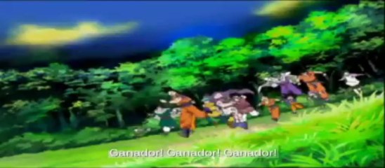 DRAGON BALL  GANADOR CANCION DE LA SERIE