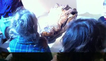 Le grand atelier: le Mac's fête ses 10 ans avec une expo pour petits et grands : Une tête de dragon (3/3)