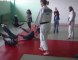 Mouscron: cours de judo lors d'une journée sportive pour les personnes handicapées