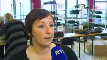 Des poules pour réduire les déchets