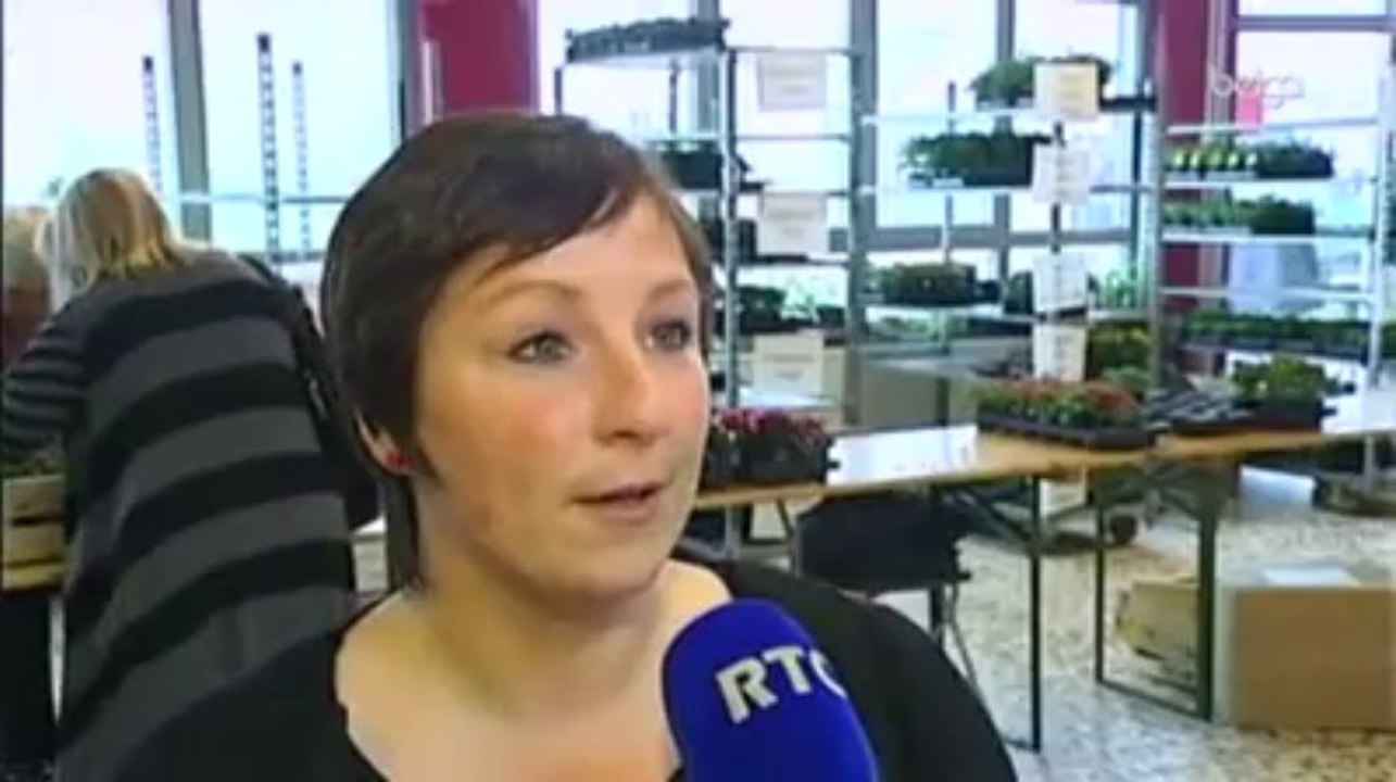 Des poules pour réduire les déchets