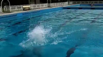 On a testé la piscine extérieur de Huy!