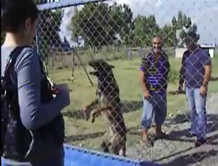 Alan Koruma: Key Highlights