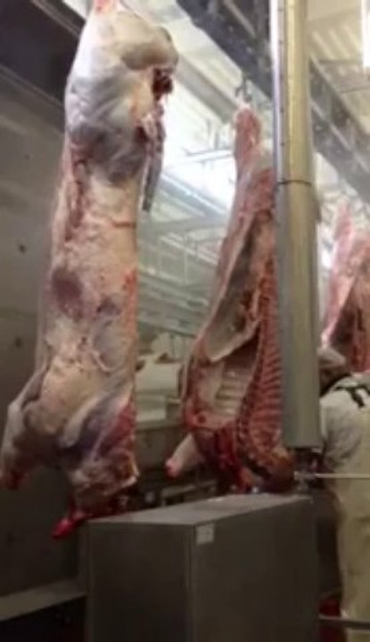 Abattoir de Mouscron