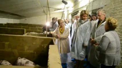 Philippe et Mathilde visitent un élevage de porcs à Jodoigne