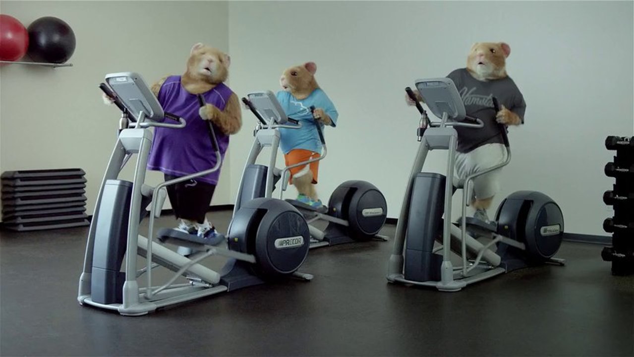 Kia Soul Hamster 2014 Commercial