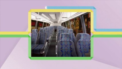 Party Equipment Rental Service San Antonio