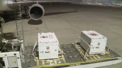 La Chine prête deux pandas géants au Canada