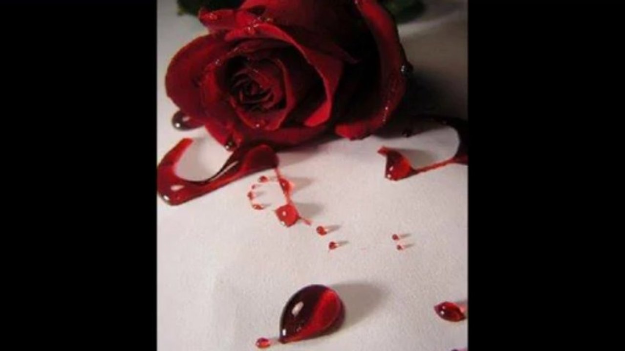 Sixtine Hallowin-De vous à toi