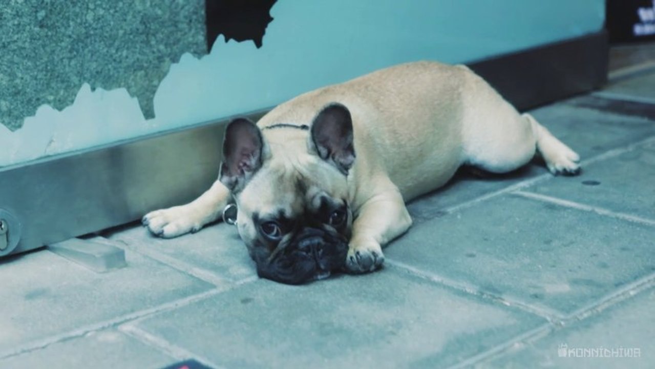 Konnichiwa promo video