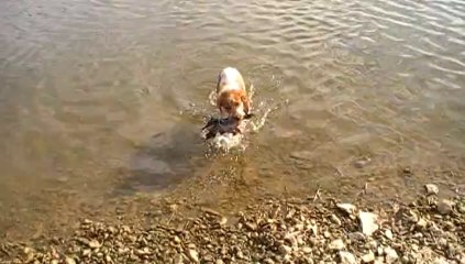 Itou rapport à l'eau