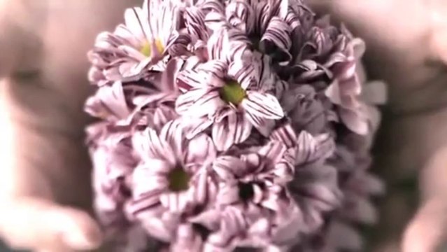 super junior Kry hanamizaki