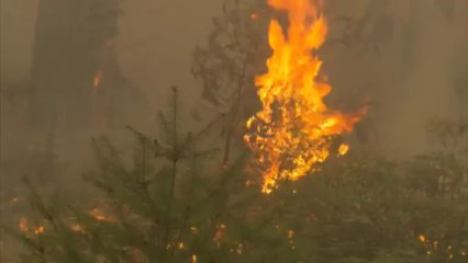 California: wildfire still rages in Yosemite National Park