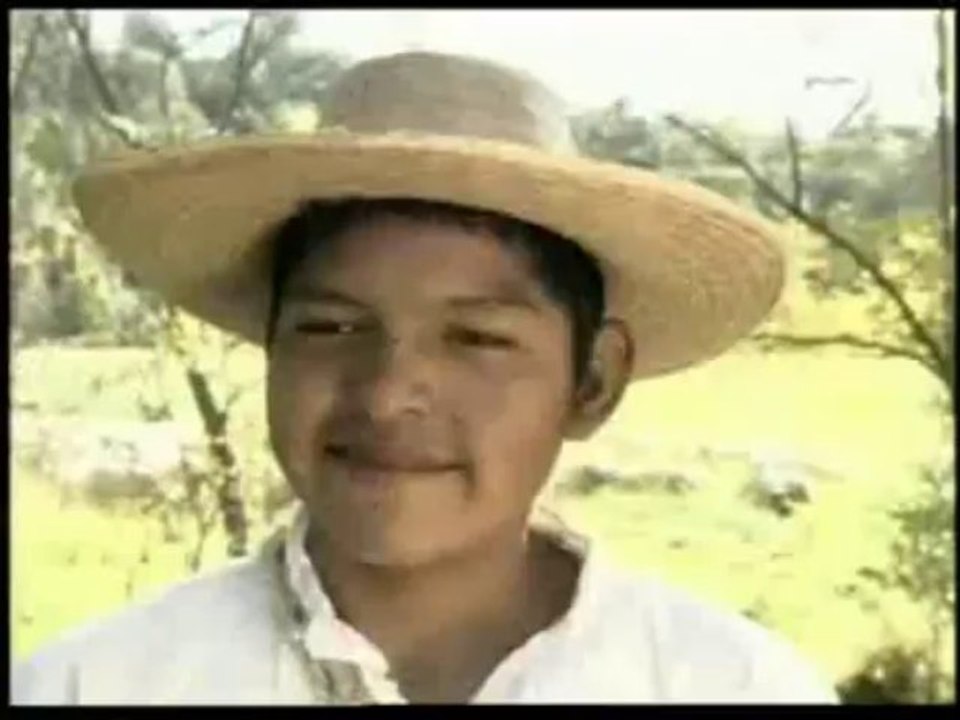 Fernanda y Eduardo_06