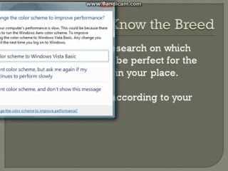 Tilapia Farming Guide - Tilapia Farming Guide Pt 1