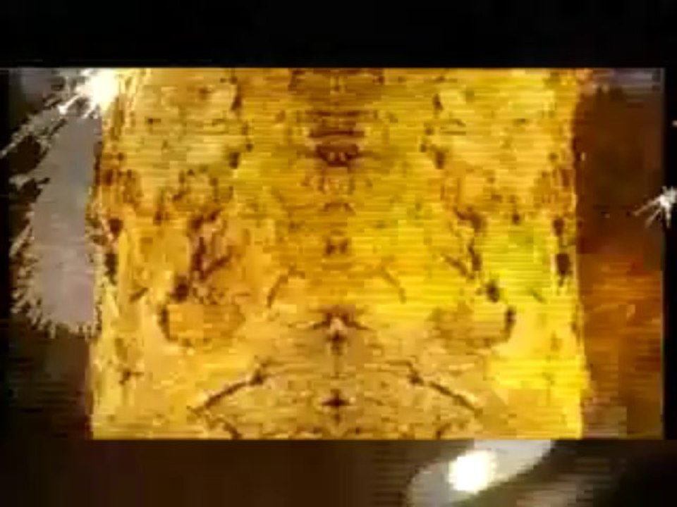 Feist - My Moon My Man (Webisode)