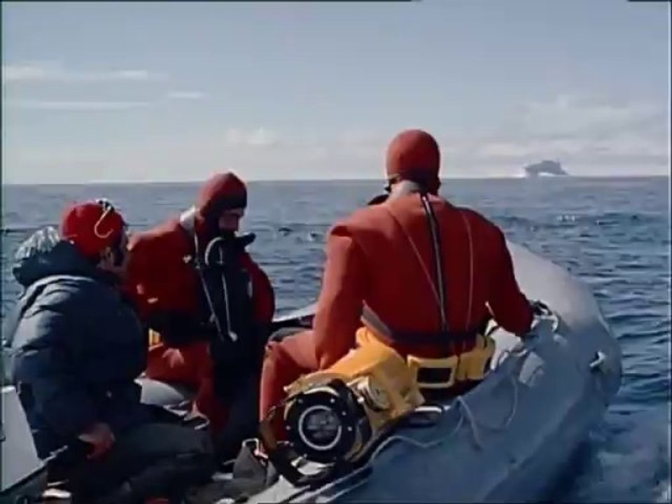 The.Undersea.World.of.Jacques.Cousteau.Collection. 2 - The.Flight.of.Penguins.