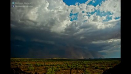 Helicopter Tackling Rim Fire Blaze