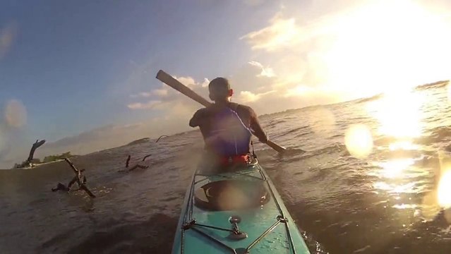 Sea Gardening Sea Kayaking Little Tybee Island