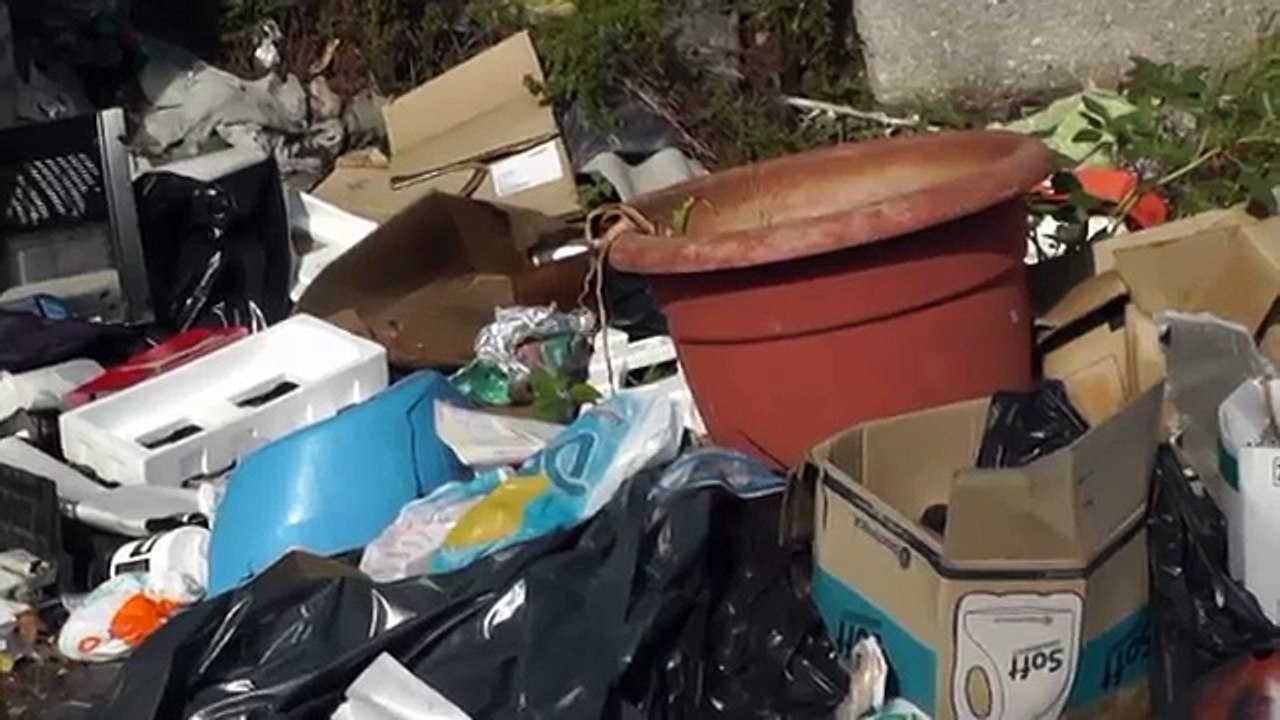 Napoli - Rifiuti e blatte, allarme sanitario (27.08.13)