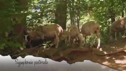 Les rencontres de Marina épisode 21 - La symphonie pastorale