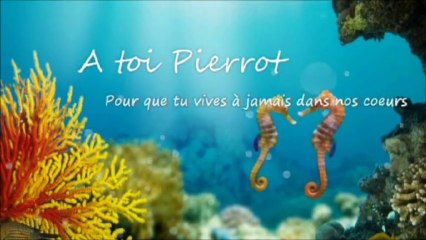 A toi Pierrot ... 1 film en version longue