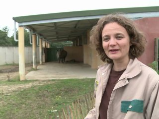 Un bebé de cincuenta kilos