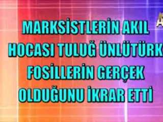DARWINİSTLER FOSİLLERİN GERÇEK OLDUĞUNU KABUL ETTİ